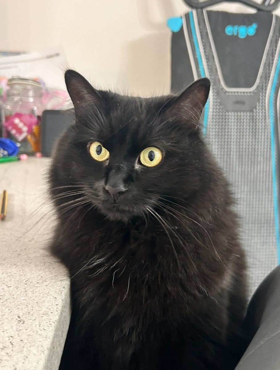 Gemma